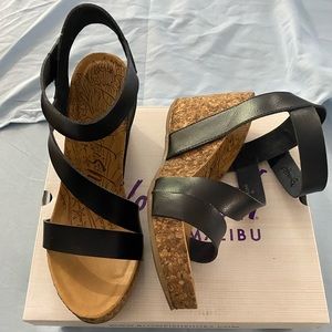 Blowfish Malibu style Hapuku